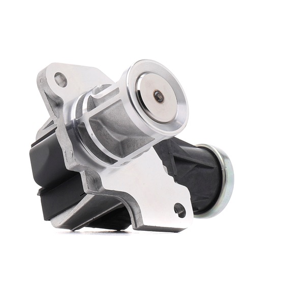 Acquista Valvola EGR da RIDEX 1145E0131 a buon mercato per soli 100,56 €