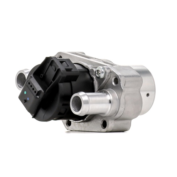 AGR-Ventil SKEGR-0770139