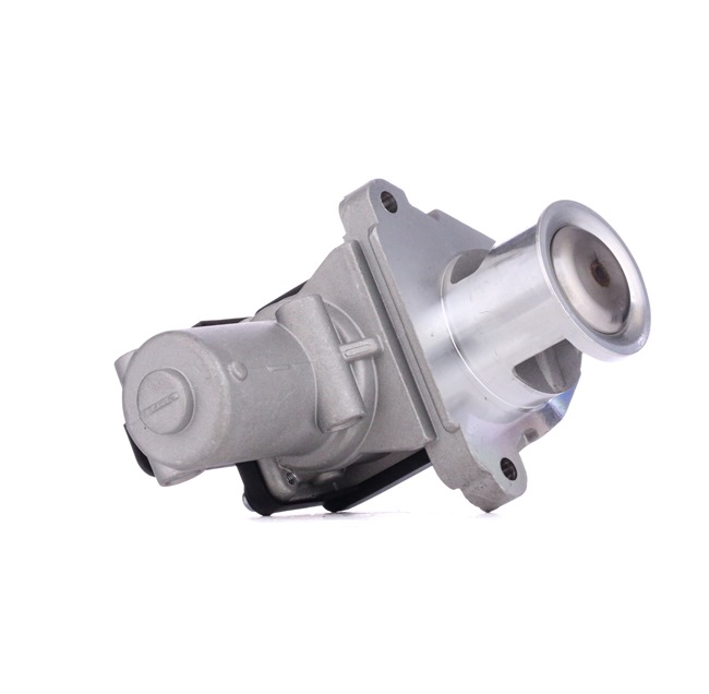 AGR-Ventil SKEGR-0770169
