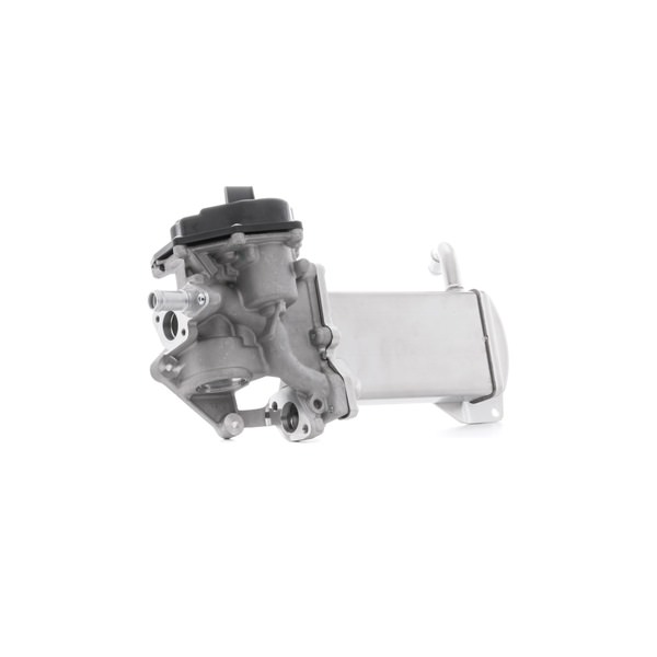 RIDEX AGR-Ventil 1145E0188 online kaufen