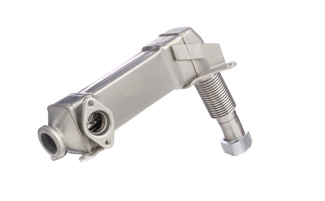 RIDEX AGR-Ventil 1145E0233 online kaufen