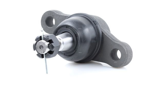 Compre Rótula de suspensão da RIDEX 2462S0306 a um preço baixo por 16,07 €