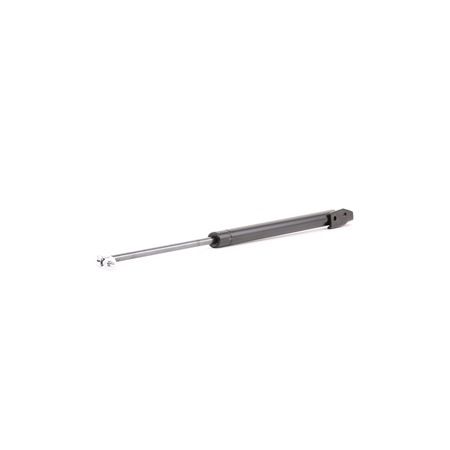 Compre Amortecedor da mala da RIDEX 219G0802 a um preço baixo por 21,71 €