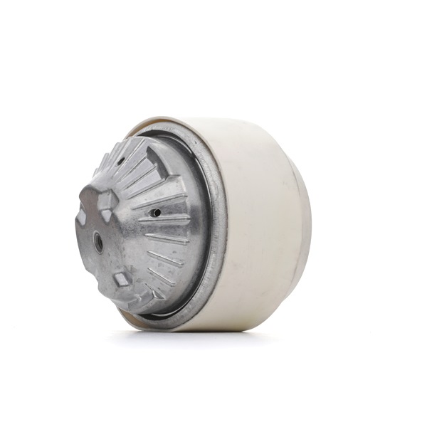 RIDEX Motorlager 247E0210 online kaufen