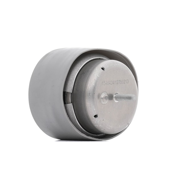 Acquista Supporto motore da RIDEX 247E0214 a buon mercato per soli 50,76 €