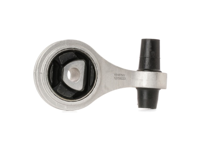 Compre Suporte, motor da RIDEX 247E0219 a um preço baixo por 23,90 €