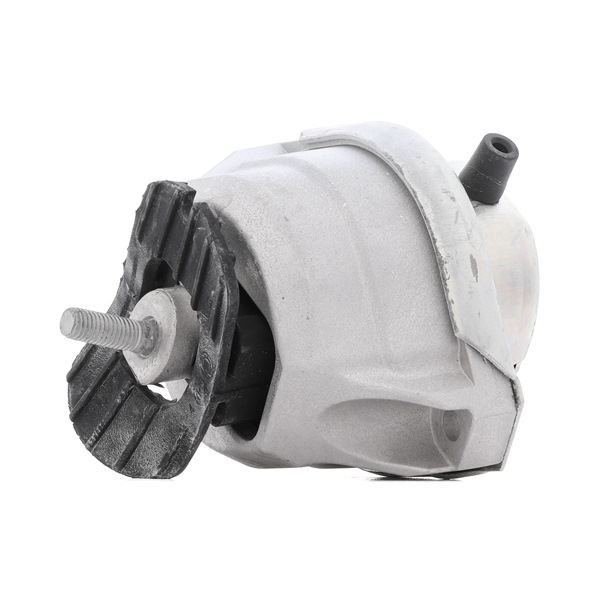 Compre Suporte, motor da RIDEX 247E0220 a um preço baixo por 42,45 €