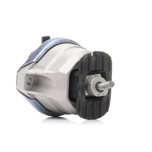 Compre Suporte, motor da RIDEX 247E0224 a um preço baixo por 61,47 €