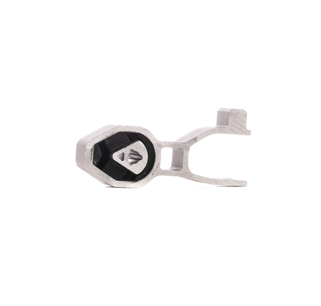 Acquista Supporto motore da RIDEX 247E0249 a buon mercato per soli 16,33 €