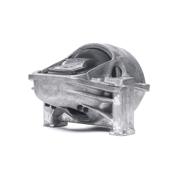 Acquista Supporto motore da RIDEX 247E0253 a buon mercato per soli 64,39 €