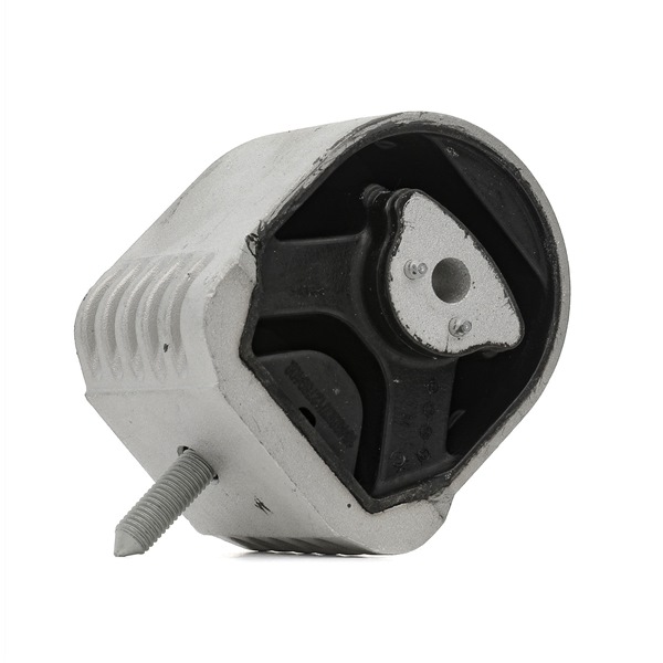 Compre Suporte, motor da RIDEX 247E0293 a um preço baixo por 20,79 €