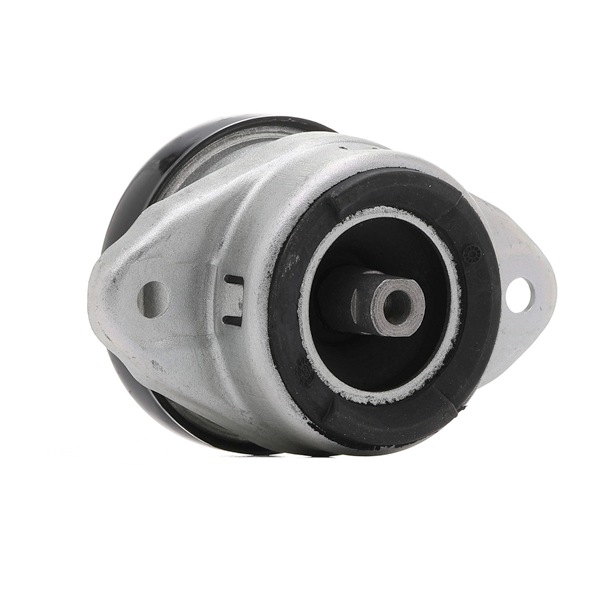 Online Shop für Motorlager von RIDEX EAN: 4059191563203