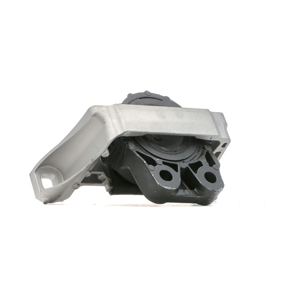 Acquista Supporto motore da RIDEX 247E0308 a buon mercato per soli 71,82 €