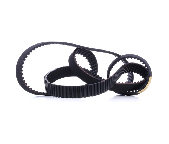 Acquista online STARK Cinghia dentata Art.: SKTIB-0780230