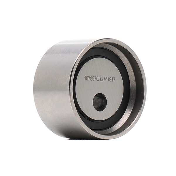 Achetez des Galet tendeur de courroie de distribution RIDEX 308T0199 à prix pour 25,22 €