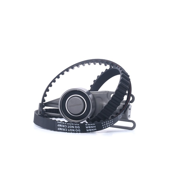 Achetez des Kit de distribution RIDEX 307T0257 à prix pour 61,22 €