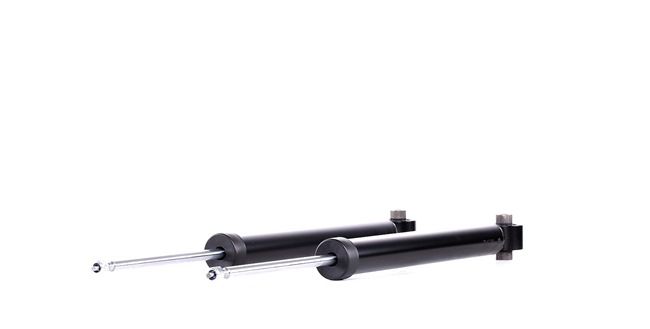 Stoßdämpfer SKSA-0133216