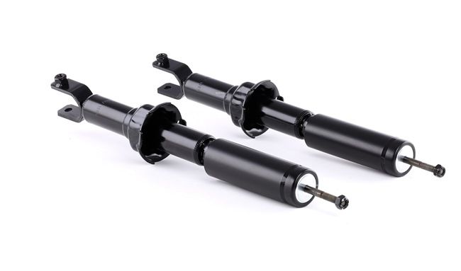 Stoßdämpfer 854S2152 von RIDEX günstig für 55,53 € online kaufen