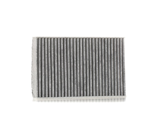 Acquista online RIDEX Filtro abitacolo Art.: 424I0421