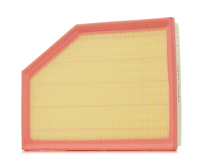 Luftfilter 8A0669 von RIDEX günstig für 11,75 € online kaufen