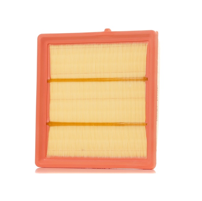 Acquista Filtro aria da RIDEX 8A0739 a buon mercato per soli 8,82 €