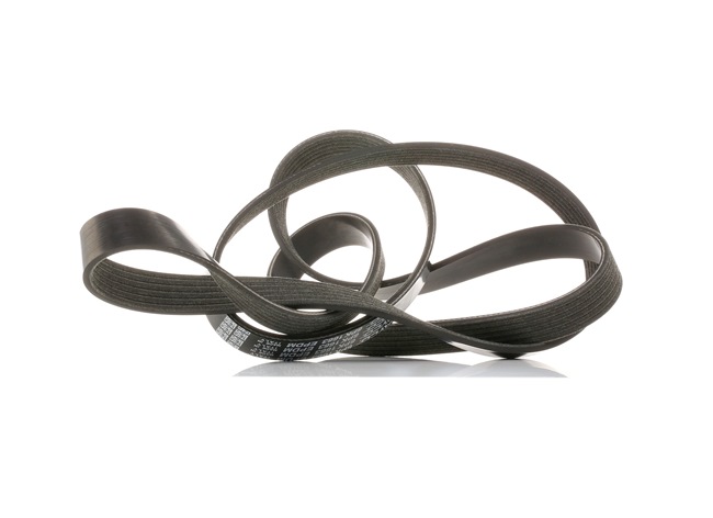 Acquista online DAYCO Cinghia servizi Art.: 6PK1663S
