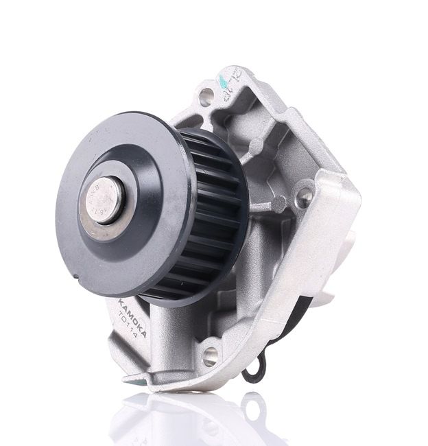 Achetez des Pompe à eau KAMOKA T0114 à prix pour 34,50 €