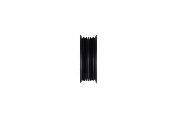 Comprar Polea inversión / guía, correa poli V de KAVO PARTS DIP-1503 a bajo precio de 64,13 €
