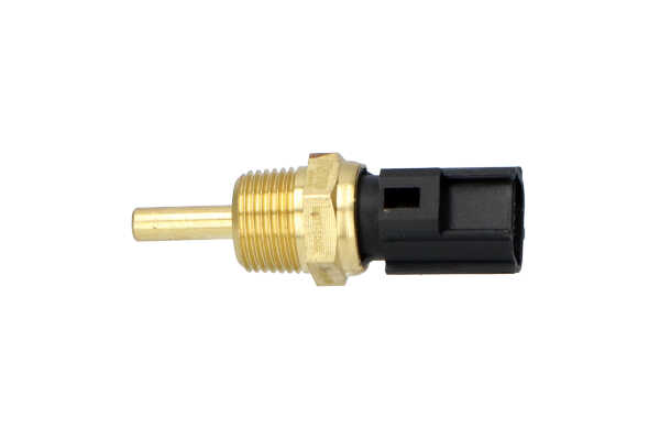 Acquista Sensore, Temperatura refrigerante da KAVO PARTS ECT-1502 a buon mercato per soli 7,04 €
