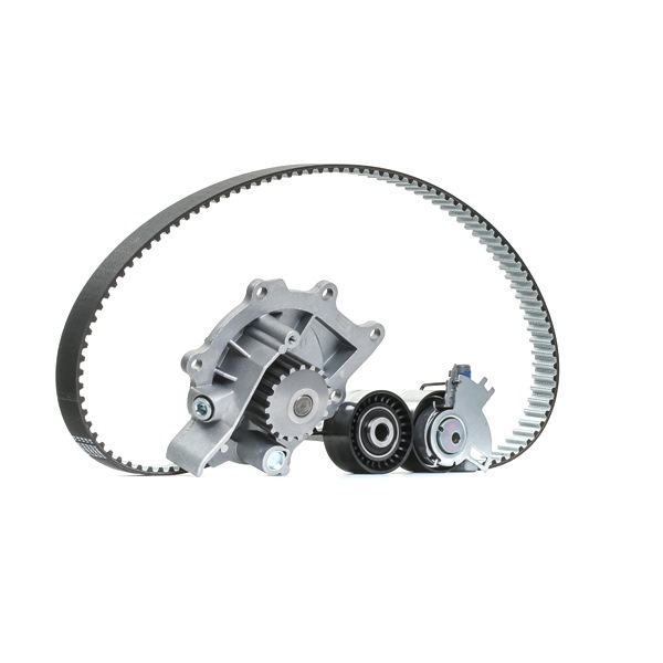 Achetez des Kit de distribution + pompe à eau INA 530 0691 30 à prix pour 168,36 €