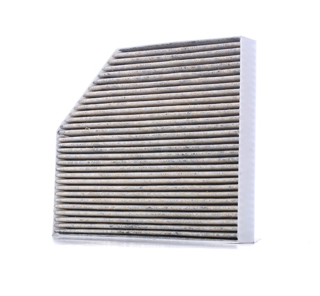 Acquista online MASTER-SPORT Filtro abitacolo Art.: 2450-IFB-PCS-MS