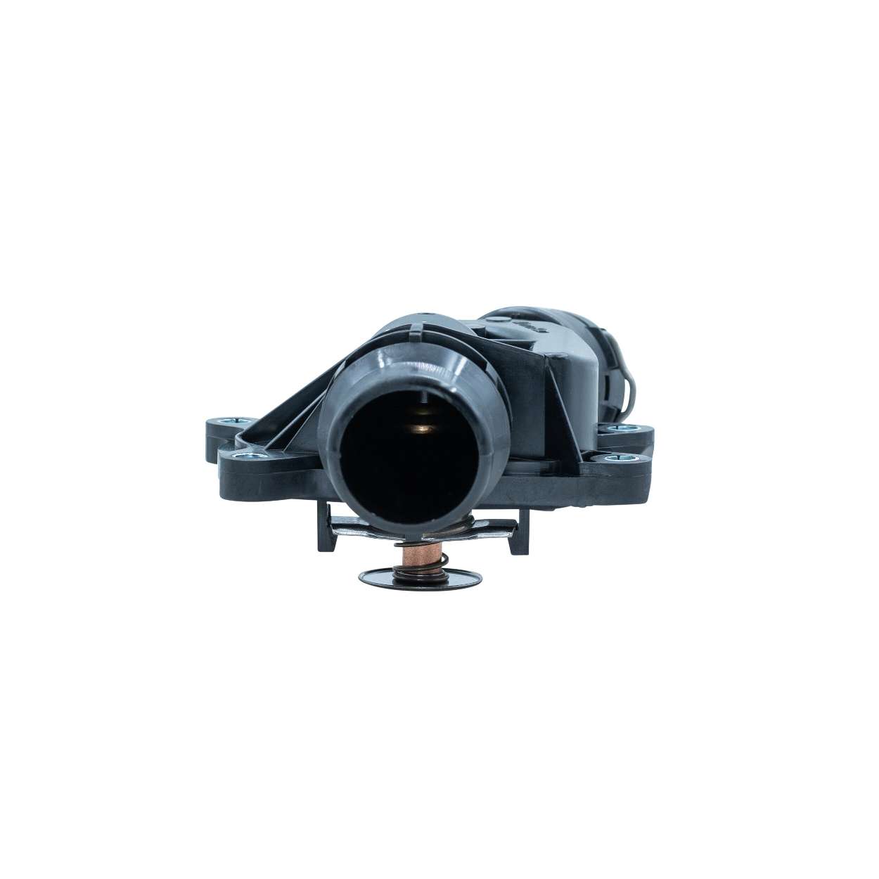 Original MOTORAD Kühlwasserthermostat online kaufen