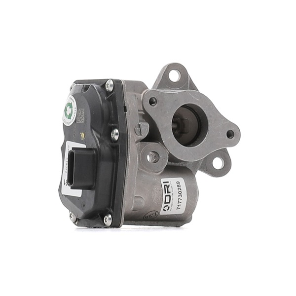 Acquista Valvola EGR da DRI 717730289 a buon mercato per soli 242,61 €
