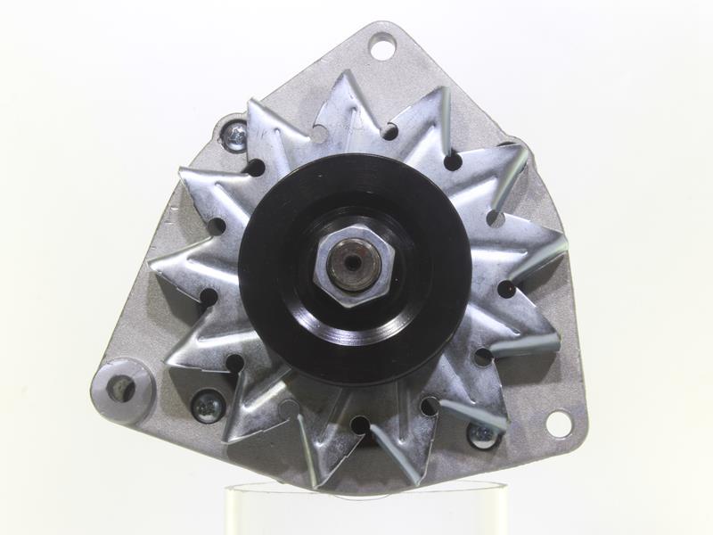 Lichtmaschine 10443391