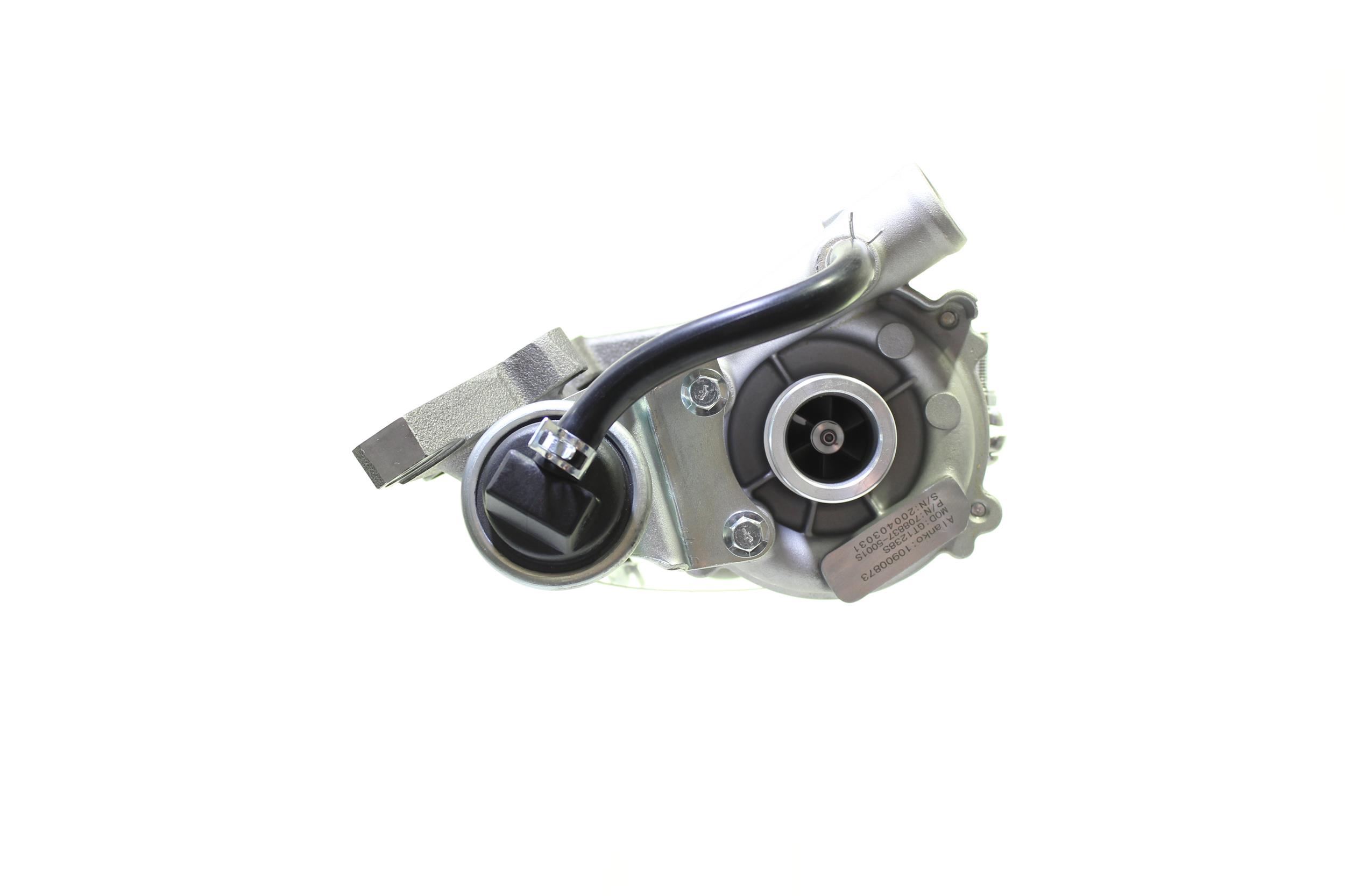 Acquista Turbina da ALANKO 10900873 a buon mercato per soli 688,19 €