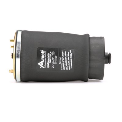 Luftfeder, Fahrwerk A-2501 von Arnott günstig für 135,62 € online kaufen