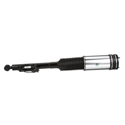 Acquista online Arnott Ammortizzatore pneumatico Art.: AS-2194