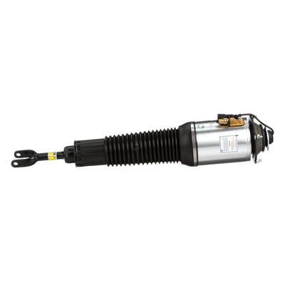 Acquista online Arnott Ammortizzatore pneumatico Art.: AS-2560