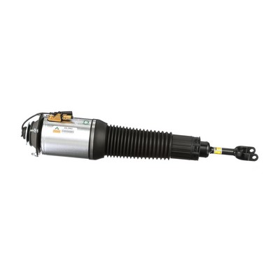 Acquista Ammortizzatore pneumatico da Arnott AS-2563 a buon mercato per soli 1060,34 €