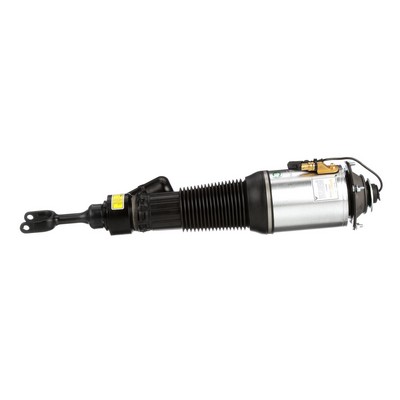 Acquista Ammortizzatore pneumatico da Arnott AS-2580 a buon mercato per soli 1083,26 €