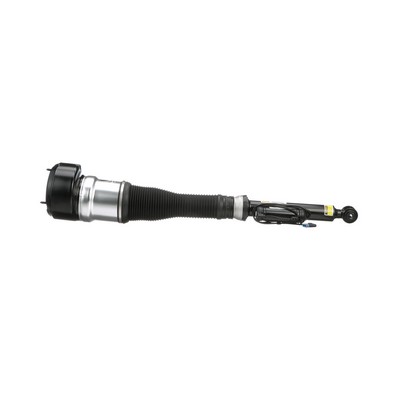 Luftfederbein AS-2603 von Arnott günstig für 650,03 € online kaufen