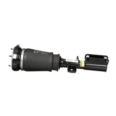 Luftfederbein AS-2765 von Arnott günstig für 494,34 € online kaufen