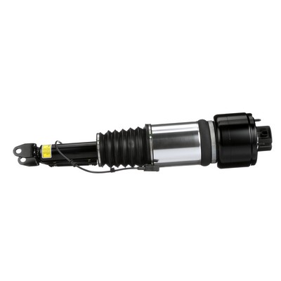 Luftfederbein AS-2788 von Arnott günstig für 742,75 € online kaufen