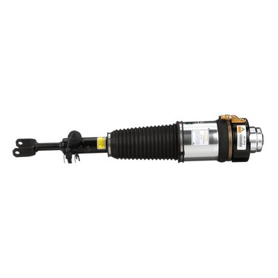 Acquista Ammortizzatore pneumatico da Arnott AS-2816 a buon mercato per soli 711,94 €