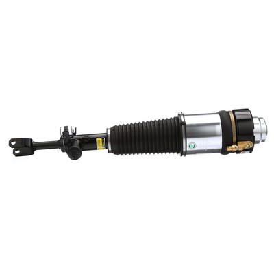 Acquista Ammortizzatore pneumatico da Arnott AS-2817 a buon mercato per soli 768,50 €