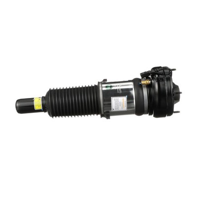 Acquista Ammortizzatore pneumatico da Arnott AS-2865 a buon mercato per soli 133,96 €