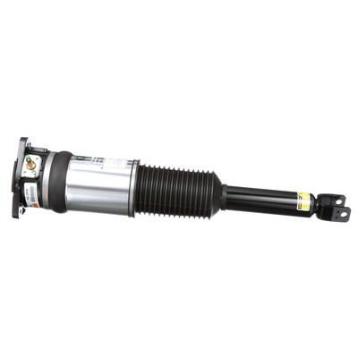 Acquista Ammortizzatore pneumatico da Arnott AS-2959 a buon mercato per soli 921,16 €