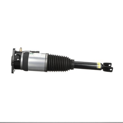 Acquista Ammortizzatore pneumatico da Arnott AS-2969 a buon mercato per soli 1136,33 €