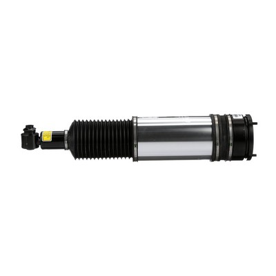 Acquista online Arnott Ammortizzatore pneumatico Art.: AS-2980