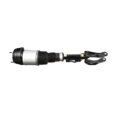 Acquista online Arnott Ammortizzatore pneumatico Art.: AS-3060